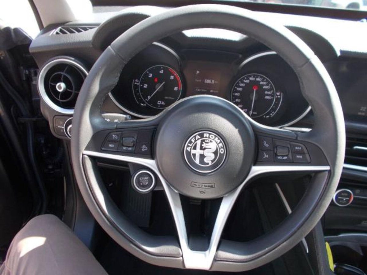 Alfa Romeo Stelvio Stelvio 2.2 Turbodiesel 180 CV AT8 Q4 Business (14)