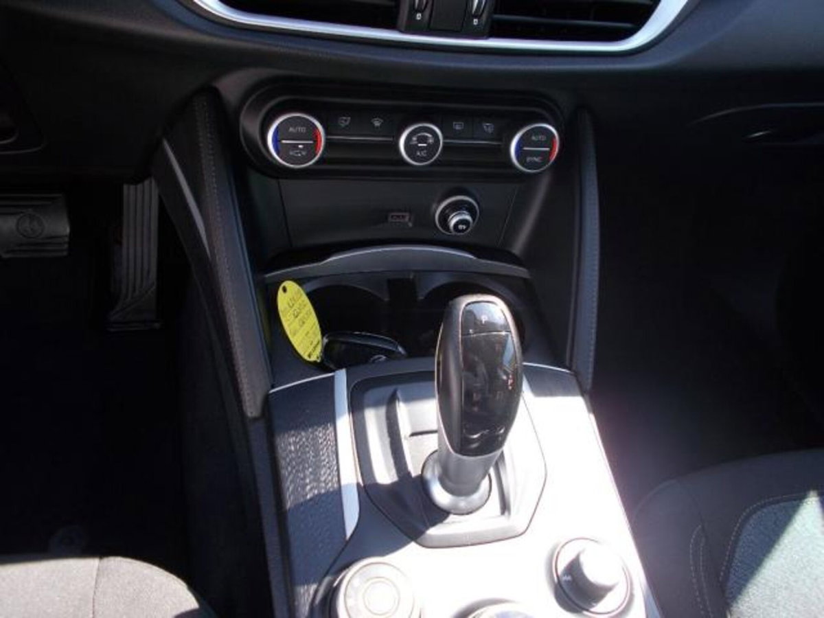 Alfa Romeo Stelvio Stelvio 2.2 Turbodiesel 180 CV AT8 Q4 Business (16)