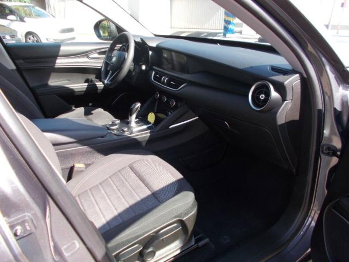 Alfa Romeo Stelvio Stelvio 2.2 Turbodiesel 180 CV AT8 Q4 Business (6)
