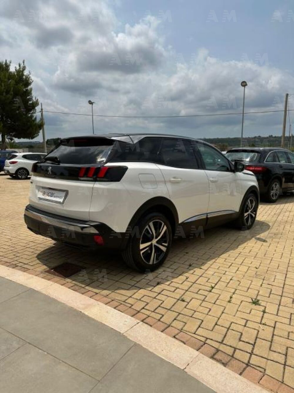 Peugeot 3008 BlueHDi 130 S&S Business (4)