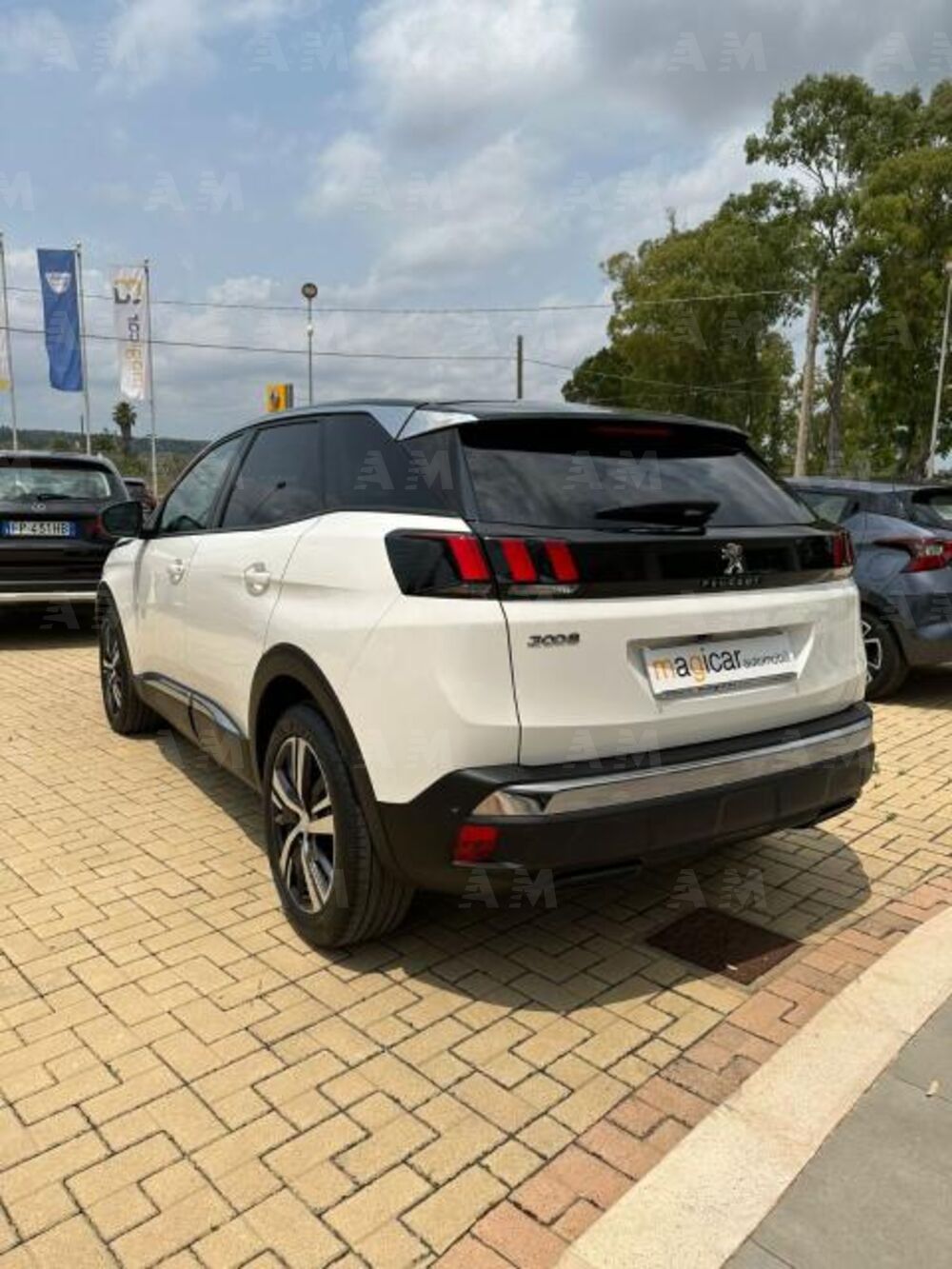 Peugeot 3008 BlueHDi 130 S&S Business (6)
