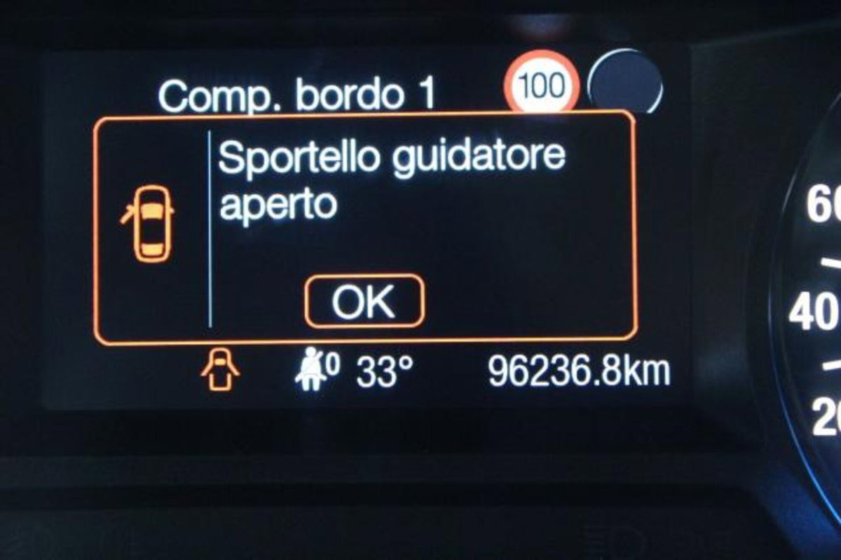 Ford Galaxy 2.0 EcoBlue 120 CV Start&Stop Business (11)