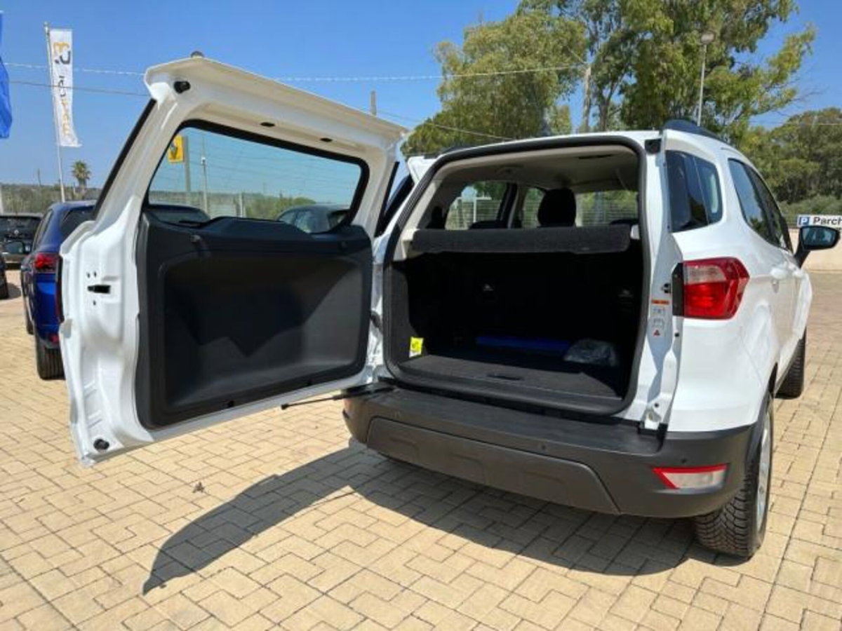 Ford EcoSport 1.0 EcoBoost 125 CV Start&Stop Business (8)