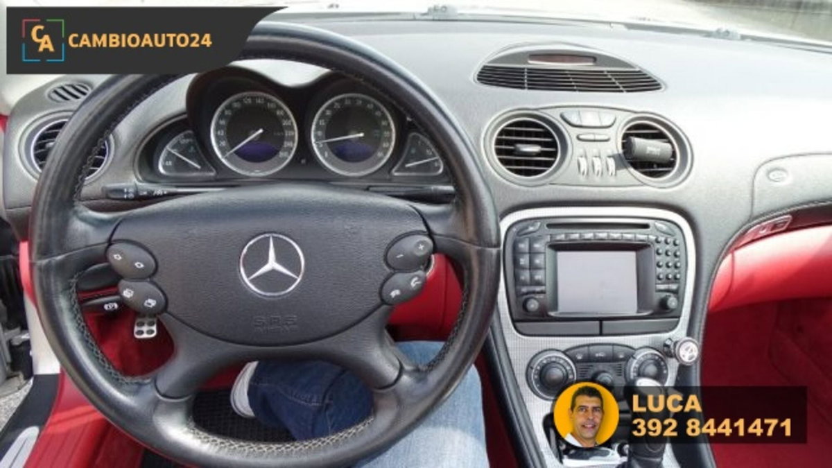 Mercedes-Benz SL 500 cat (15)
