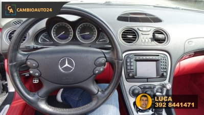 Mercedes-Benz SL 500 cat (15)