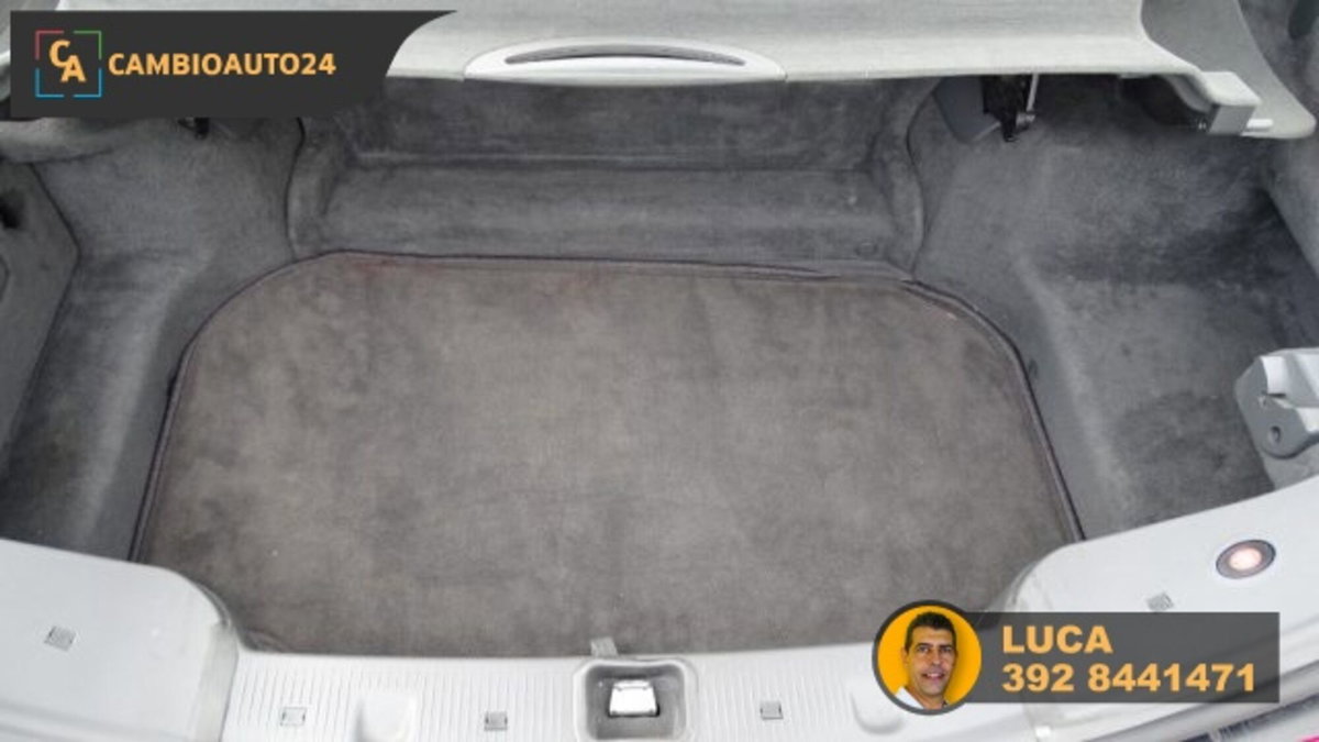Mercedes-Benz SL 500 cat (16)