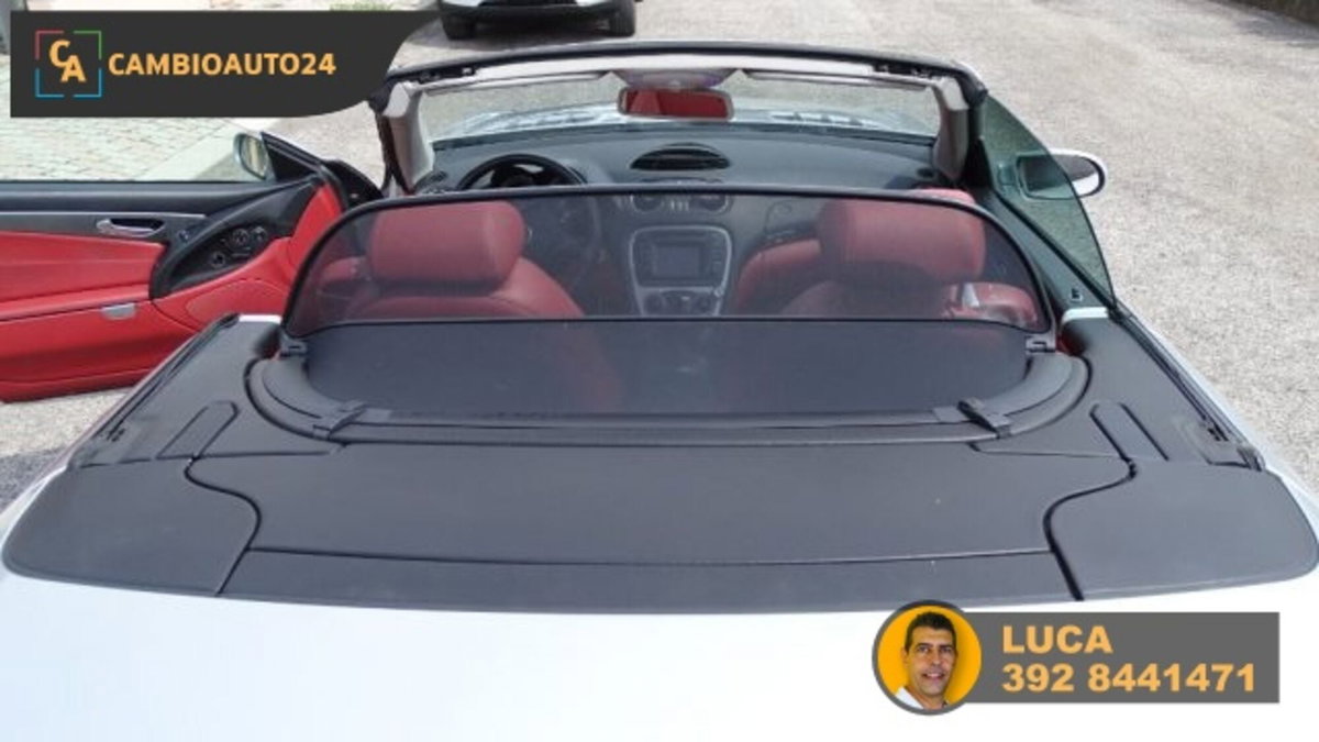 Mercedes-Benz SL 500 cat (11)