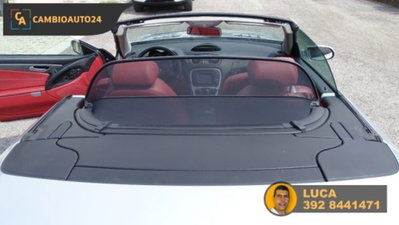 Mercedes-Benz SL 500 cat (11)