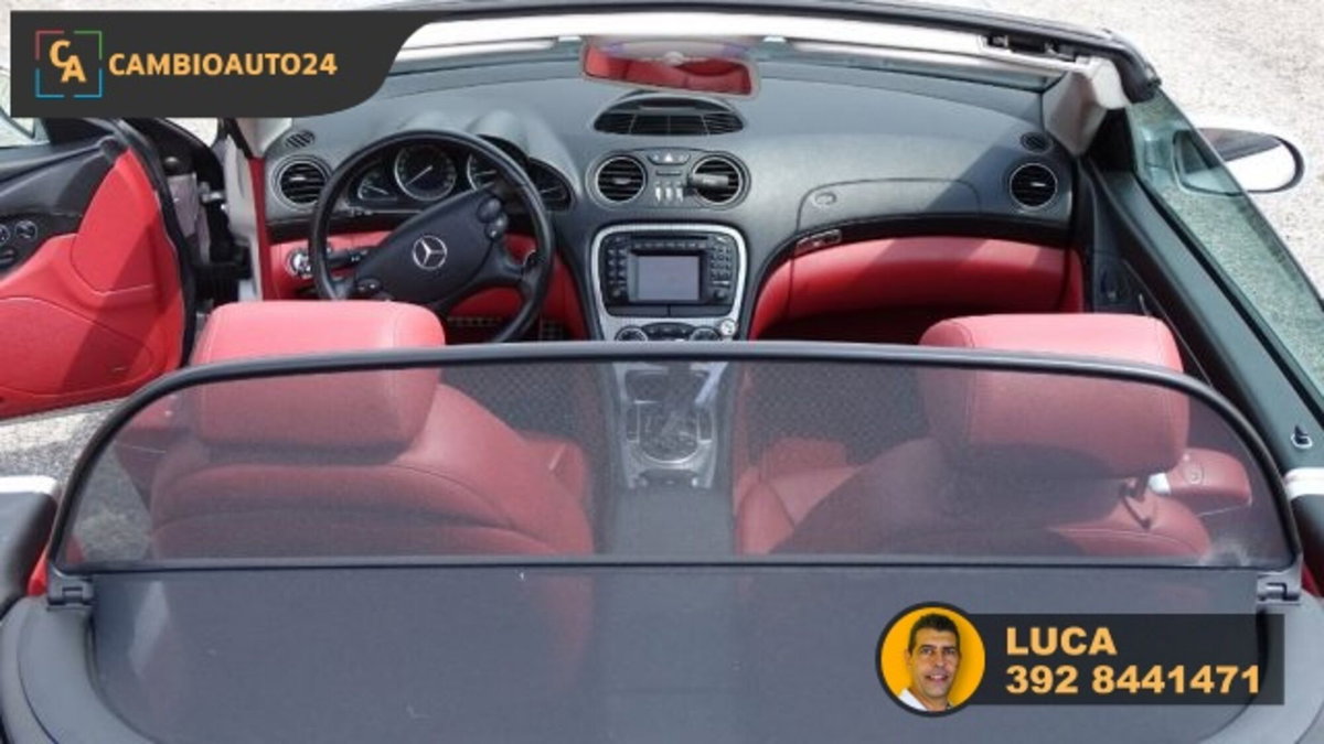 Mercedes-Benz SL 500 cat (12)
