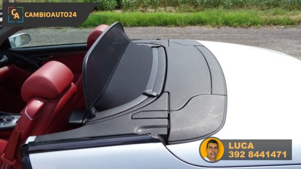 Mercedes-Benz SL 500 cat (13)