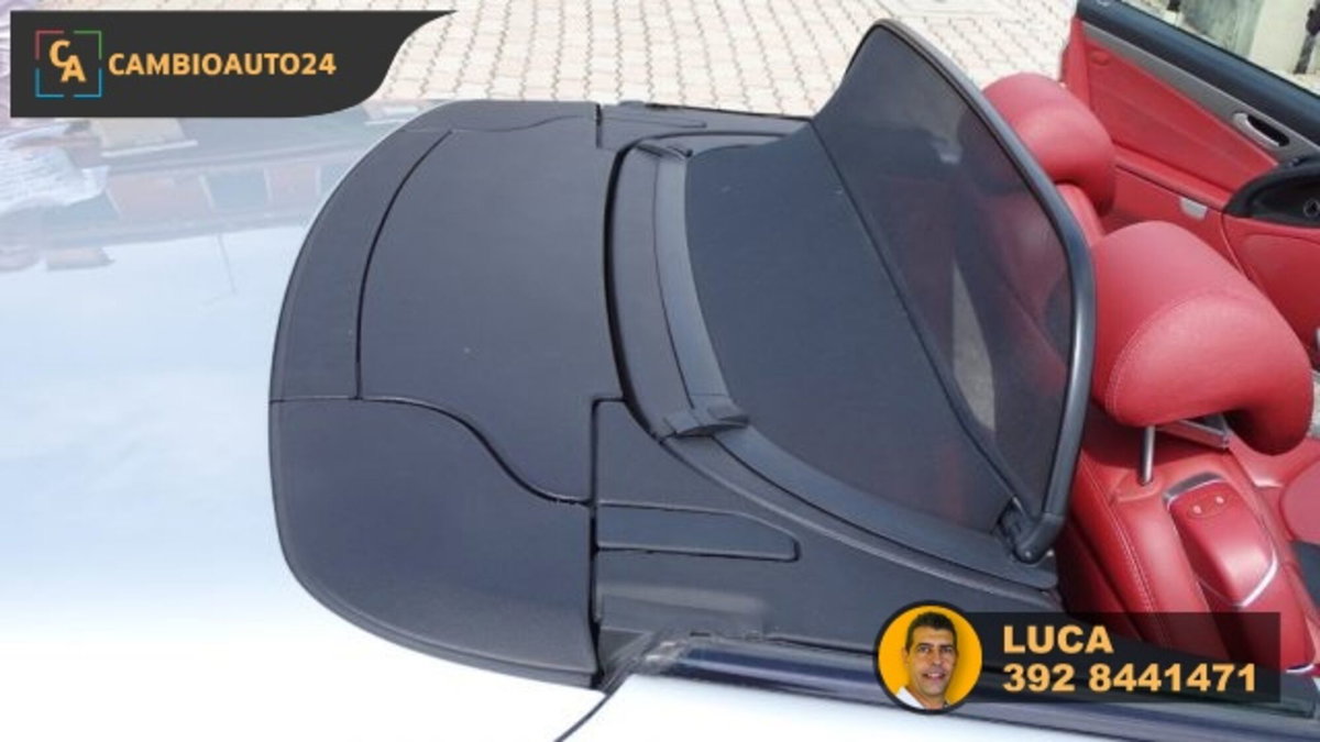 Mercedes-Benz SL 500 cat (14)