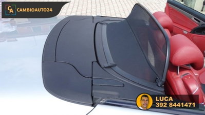 Mercedes-Benz SL 500 cat (14)