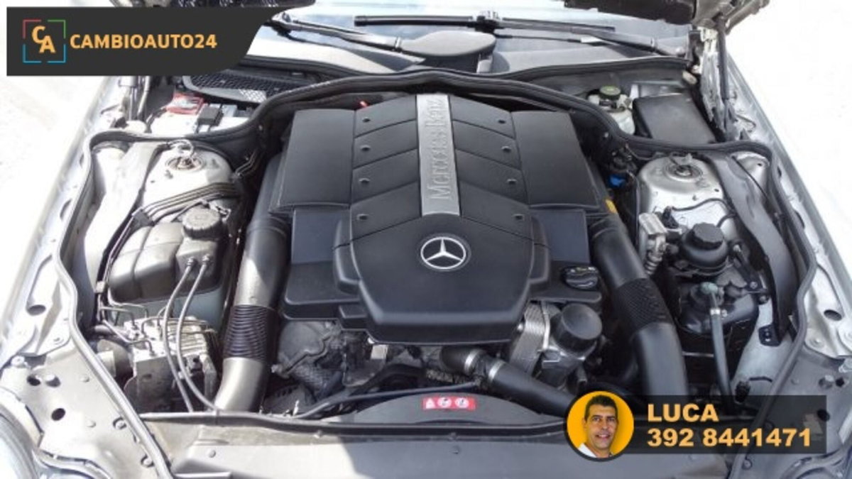 Mercedes-Benz SL 500 cat (17)