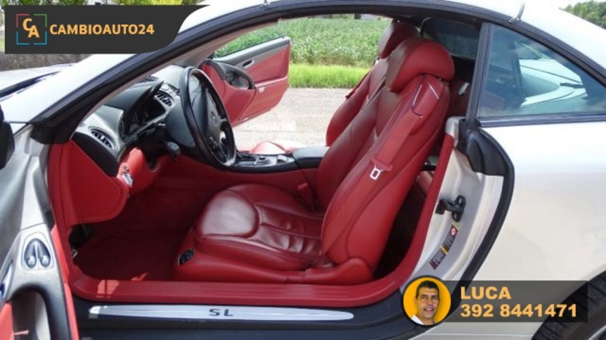 Mercedes-Benz SL 500 cat (18)