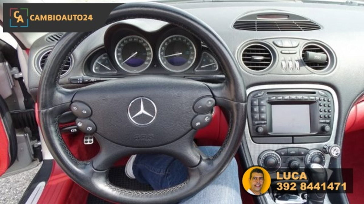 Mercedes-Benz SL 500 cat (19)