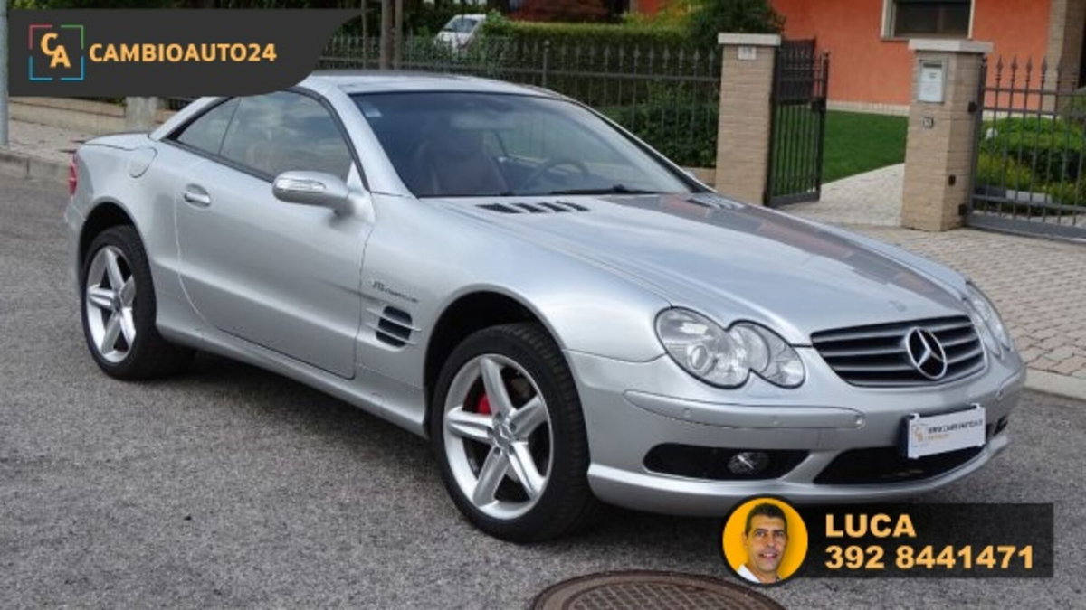 Mercedes-Benz SL 500 cat (2)