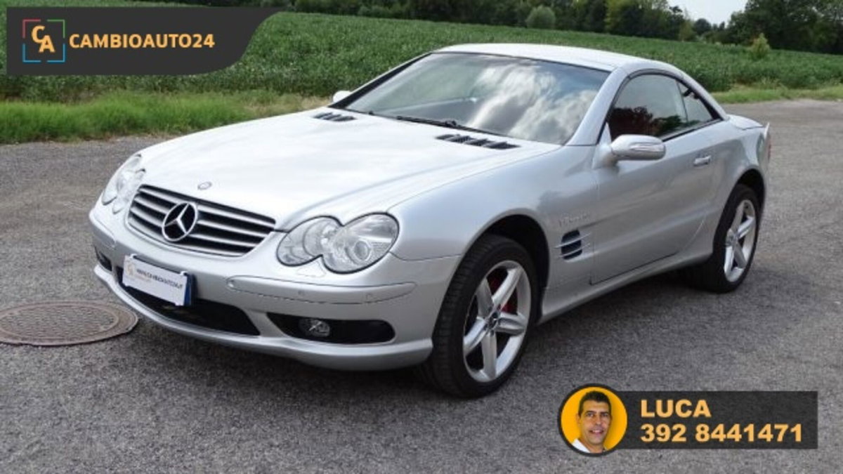 Mercedes-Benz SL 500 cat (3)