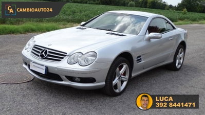 Mercedes-Benz SL 500 cat (3)