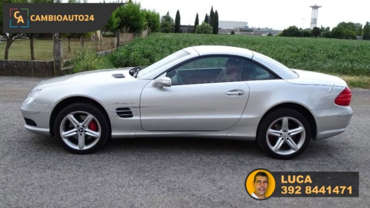 Mercedes-Benz SL 500 cat (4)
