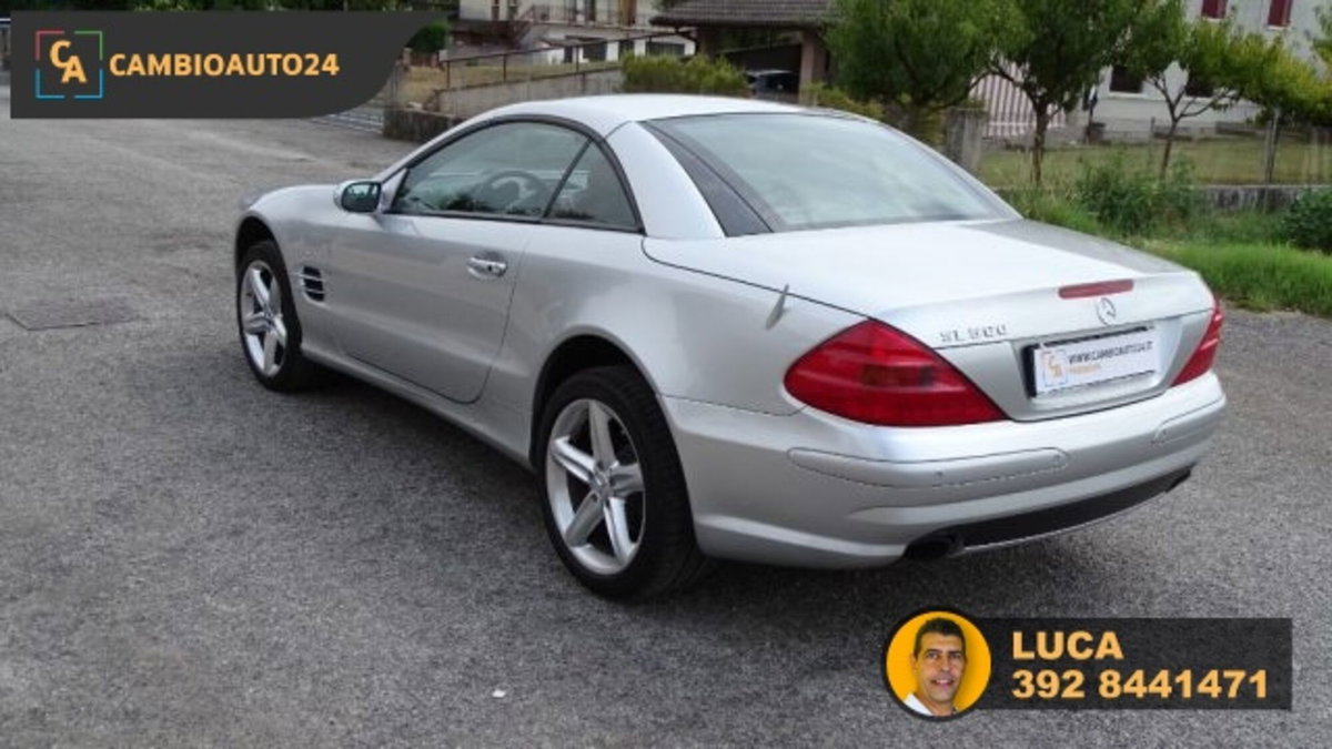 Mercedes-Benz SL 500 cat (5)