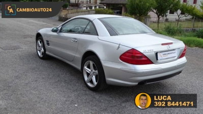 Mercedes-Benz SL 500 cat (5)
