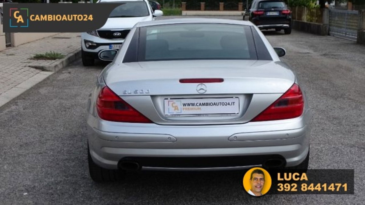 Mercedes-Benz SL 500 cat (6)