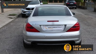 Mercedes-Benz SL 500 cat (6)