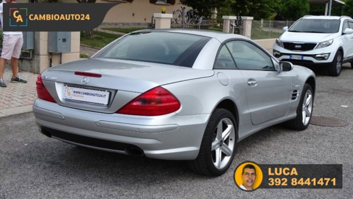 Mercedes-Benz SL 500 cat (7)