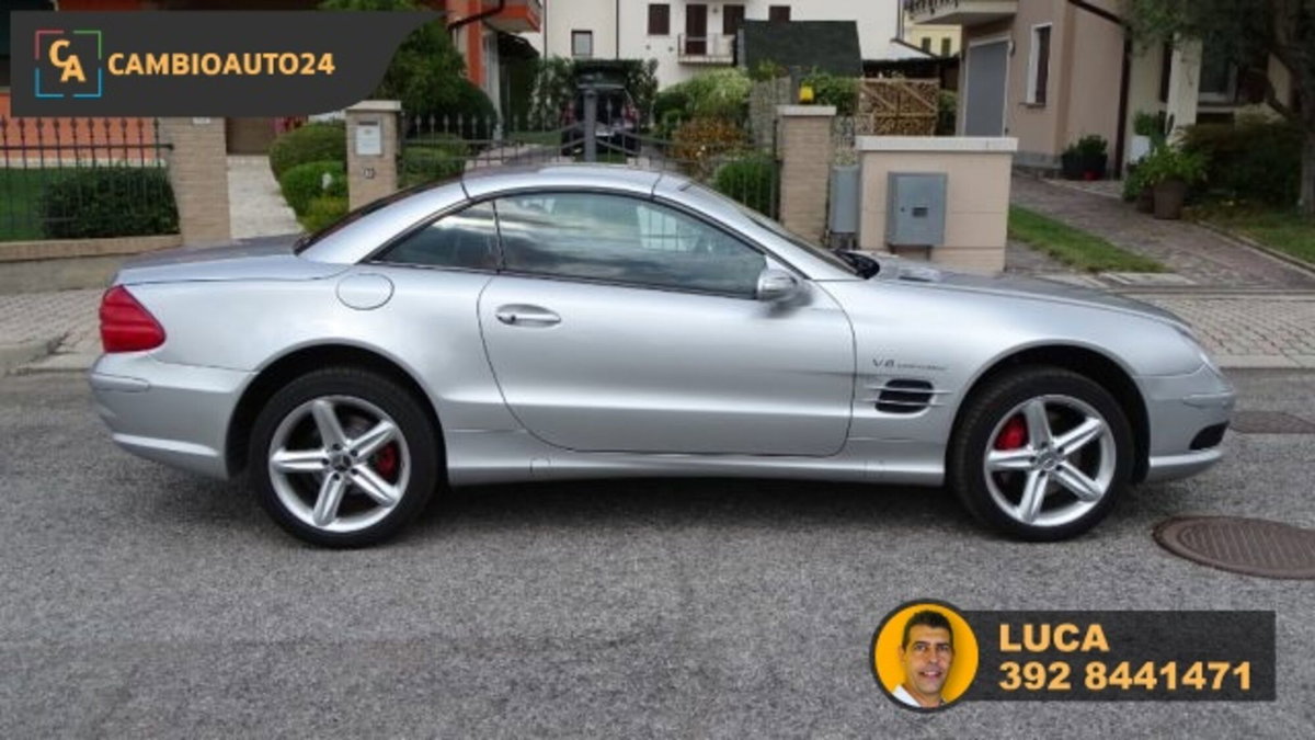 Mercedes-Benz SL 500 cat (8)