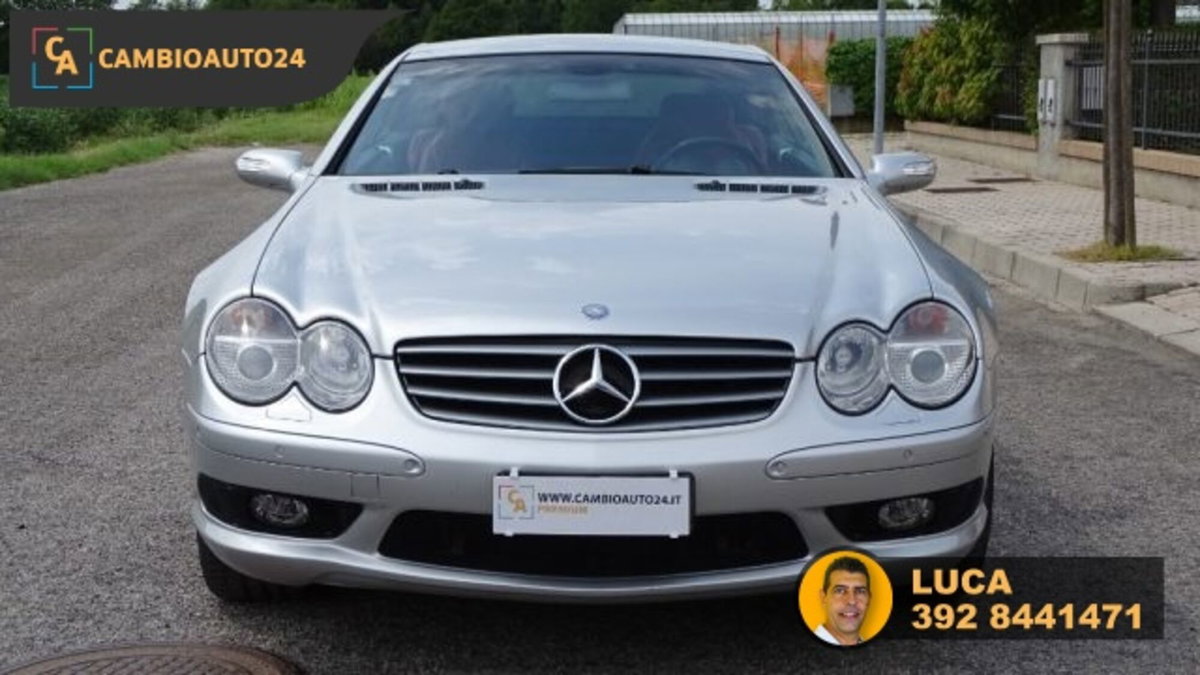 Mercedes-Benz SL 500 cat (9)