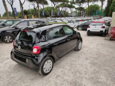 smart forfour forfour 70 1.0 Youngster usata