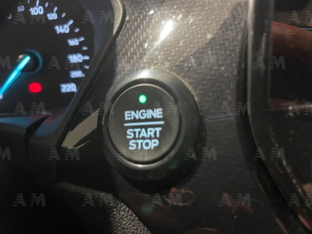 Ford Fiesta 1.5 EcoBlue 5 porte ST-Line (19)
