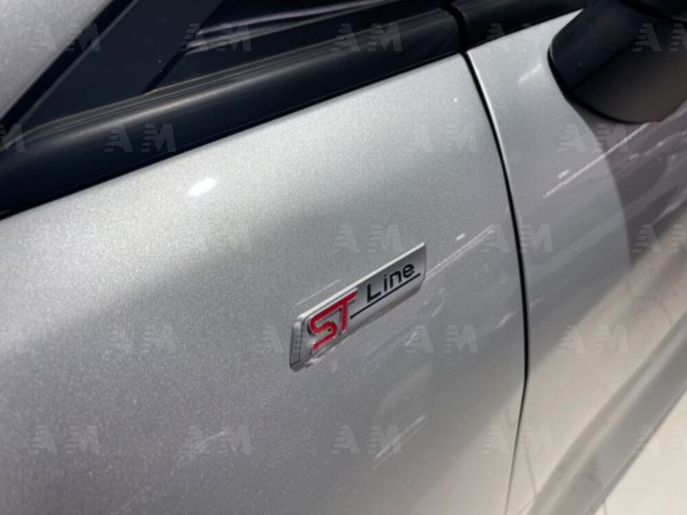Ford Fiesta 1.5 EcoBlue 5 porte ST-Line (4)
