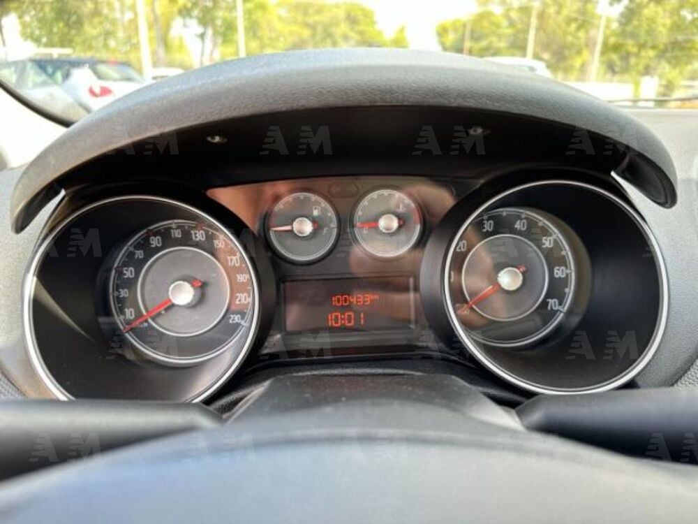 Fiat Grande Punto 1.4 5 porte Actual EasyPower (12)