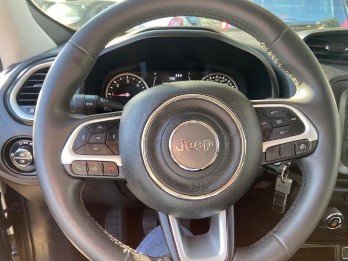 Jeep Renegade 1.6 Mjt 120 CV Longitude (10)