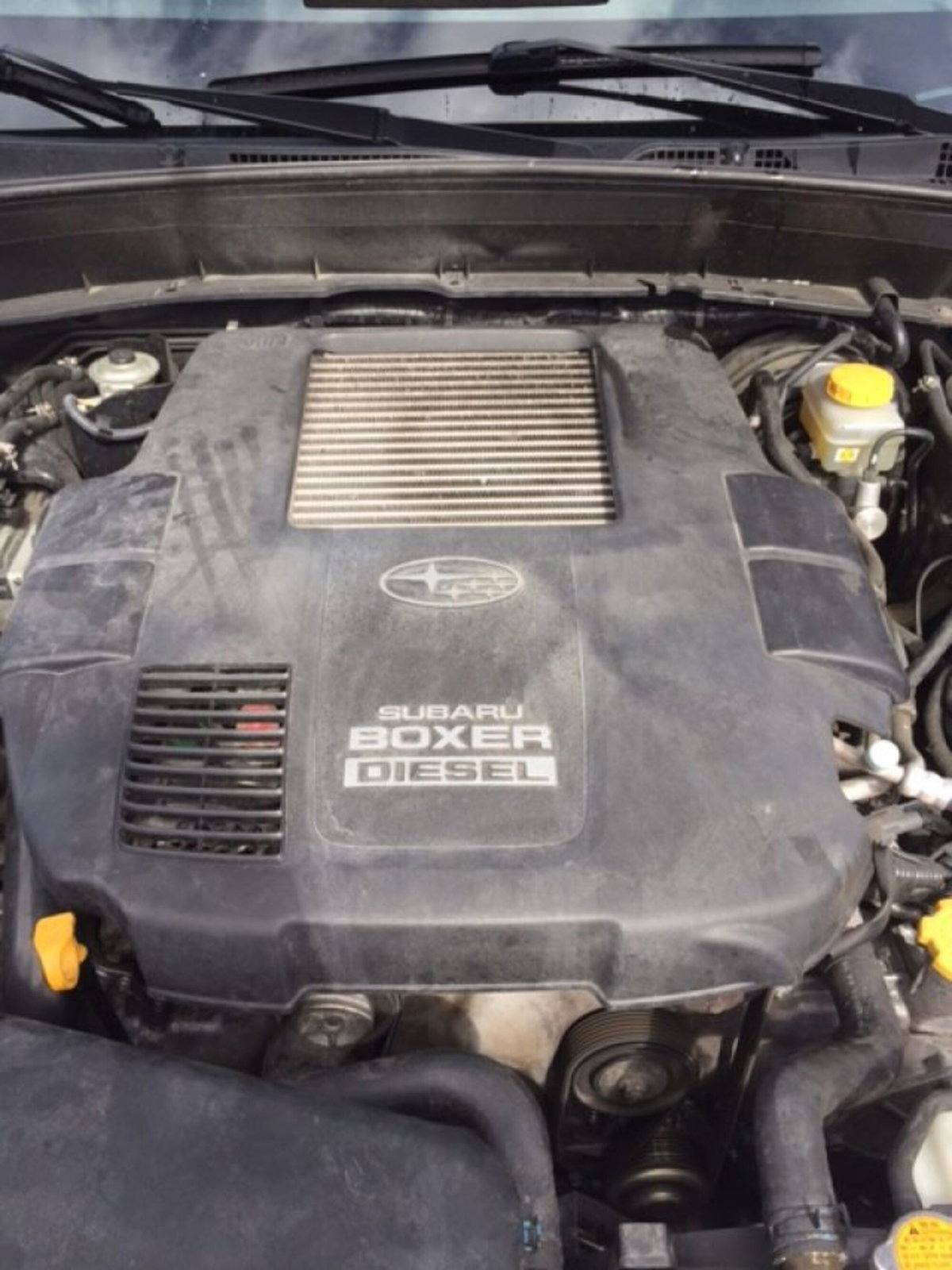 Subaru Forester 2.0 CVT XT (17)