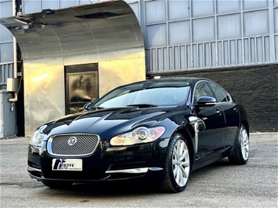 Jaguar XF 3.0 DS V6 Premium Luxury usata