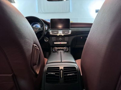 Mercedes-Benz CLS Shooting Brake 350 SW BlueTEC 4Matic Premium (18)