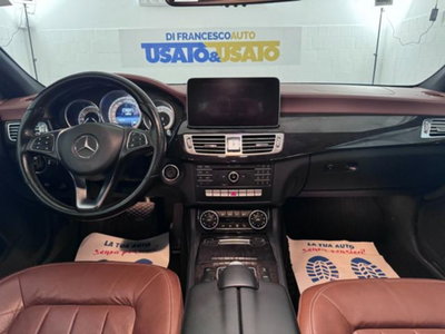 Mercedes-Benz CLS Shooting Brake 350 SW BlueTEC 4Matic Premium (19)