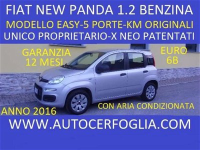Fiat Panda 1.2 Easy my 18 usata