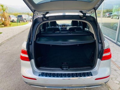 Mercedes-Benz Classe ML 300 CDI BlueEFFICIENCY (7)