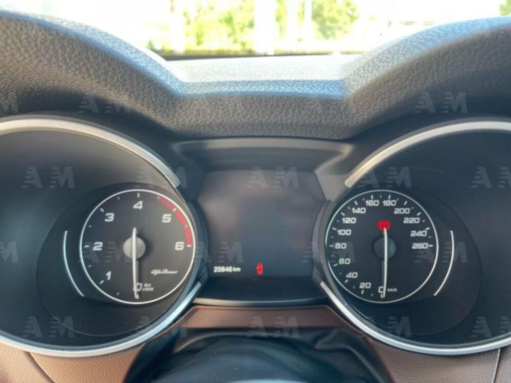 Alfa Romeo Stelvio Stelvio 2.2 Turbodiesel 190 CV AT8 Q4 Sprint (15)