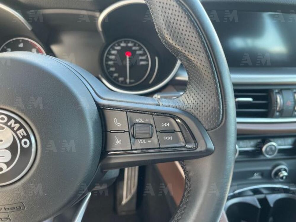 Alfa Romeo Stelvio Stelvio 2.2 Turbodiesel 190 CV AT8 Q4 Sprint (16)