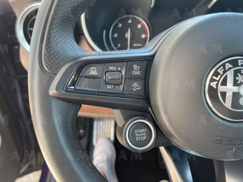 Alfa Romeo Stelvio Stelvio 2.2 Turbodiesel 190 CV AT8 Q4 Sprint (17)