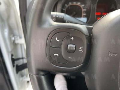 Fiat Panda 1.3 MJT 95 CV S&S 4x4 (16)
