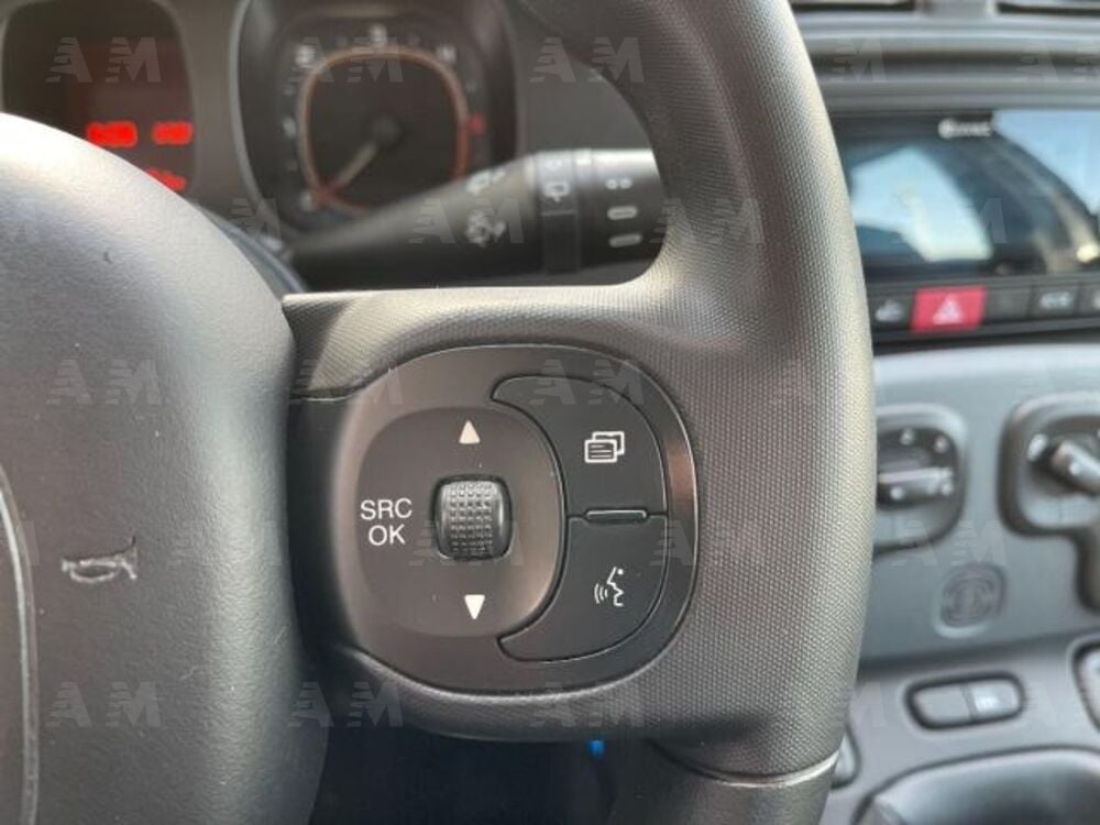 Fiat Panda 1.3 MJT 95 CV S&S 4x4 (17)