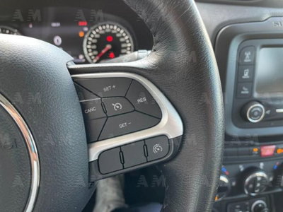 Jeep Renegade 1.6 Mjt 120 CV Limited (15)