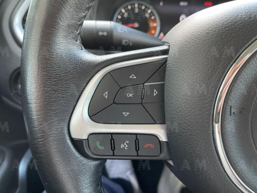 Jeep Renegade 1.6 Mjt 120 CV Limited (16)