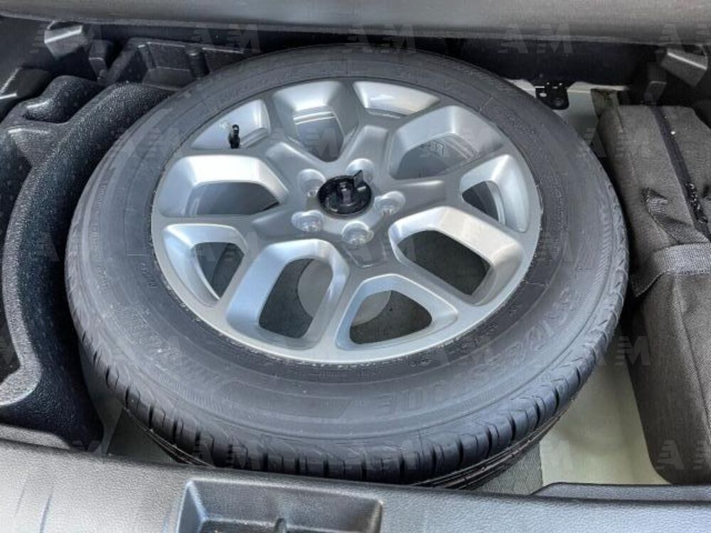 Jeep Renegade 1.6 Mjt 120 CV Limited (8)