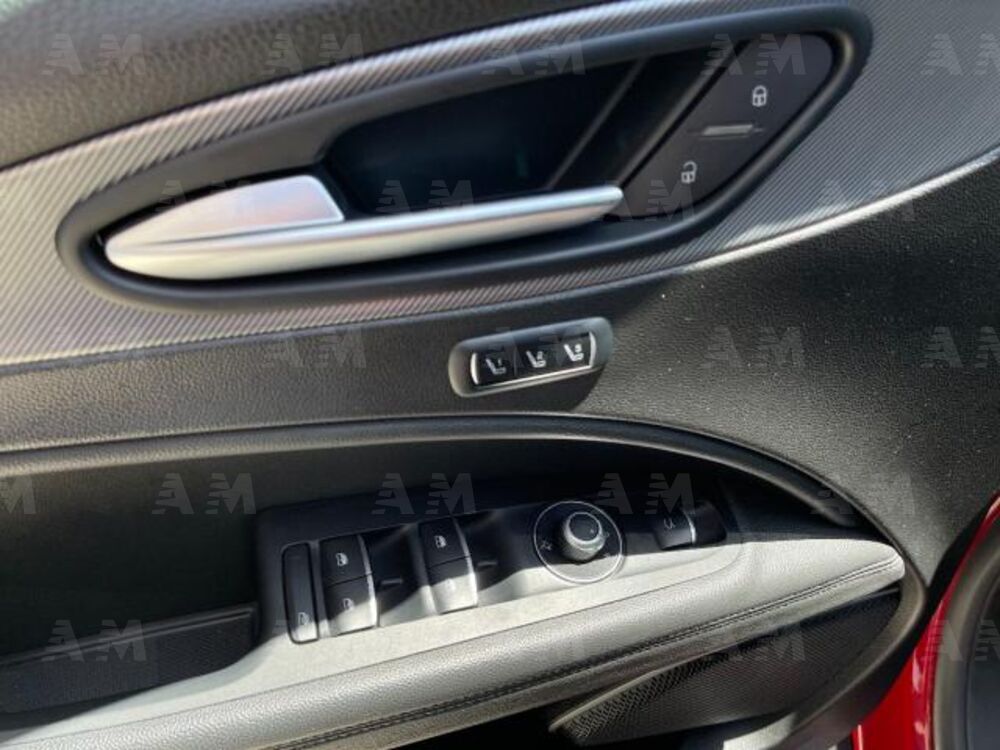 Alfa Romeo Stelvio Stelvio 2.2 Turbodiesel 210 CV AT8 Q4 B-Tech (14)